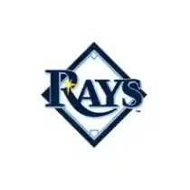 tampabay.rays.mlb.com