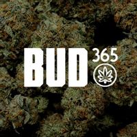 420cannabiscoupons.com