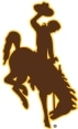 gowyo.com