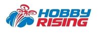 hobbyrising.com