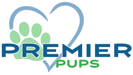 premierpups.com